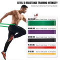 5 Levels Resistance Bands Set with Handles, Pull Up Assist Bands for Muscle Training Yoga Home Gym, Door Anchor + Carabiner