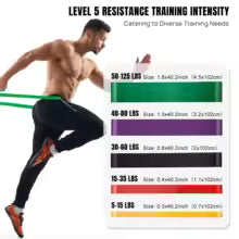 5 Levels Resistance Bands Set with Handles, Pull Up Assist Bands for Muscle Training Yoga Home Gym, Door Anchor + Carabiner